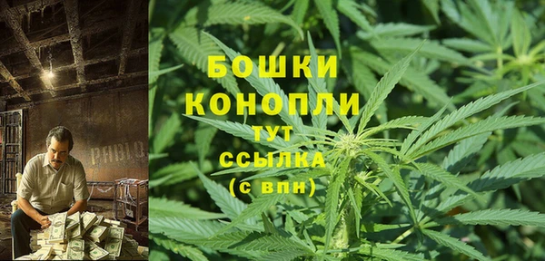 трава Алзамай
