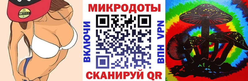 Псилоцибиновые грибы Psilocybe Калининск